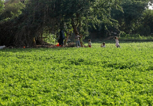 أراضي الأوقاف