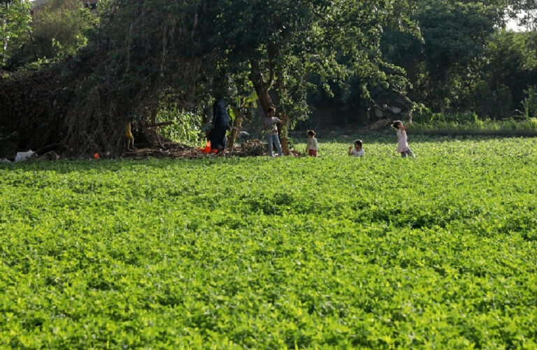 أراضي الأوقاف